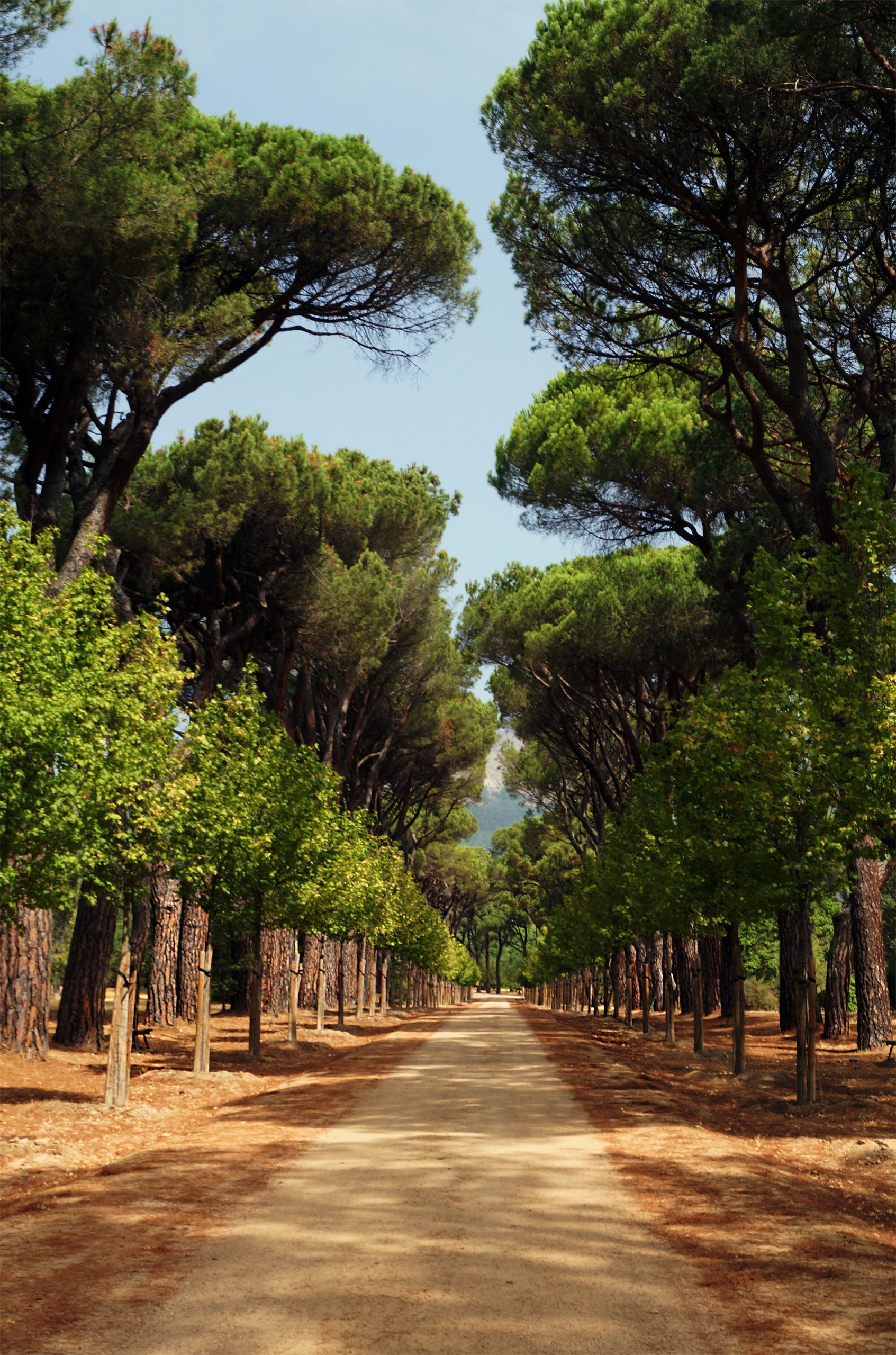 Guide de lecture : La Route de la faim
